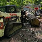 Tree Removal